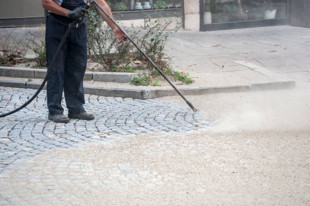 Best Sidewalk and Walkway Cleaning  in Mead Valley, CA